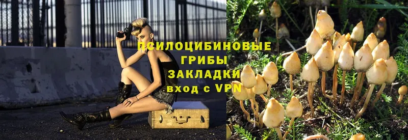 Галлюциногенные грибы мицелий  shop формула  Рубцовск 